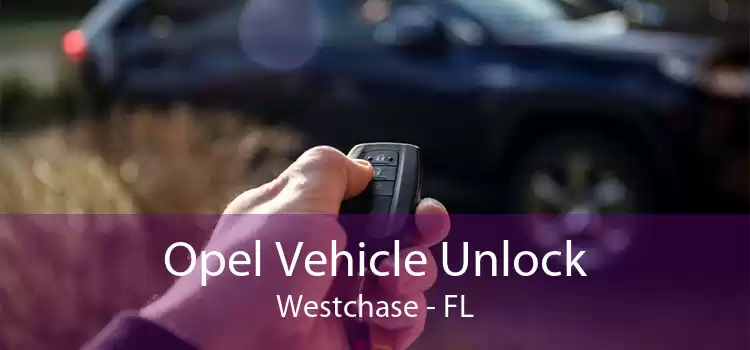Opel Vehicle Unlock Westchase - FL