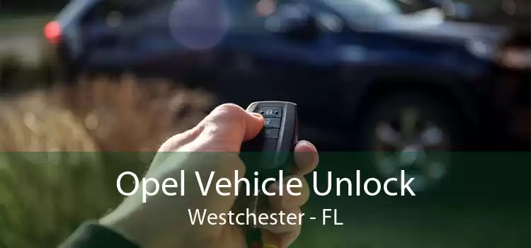 Opel Vehicle Unlock Westchester - FL