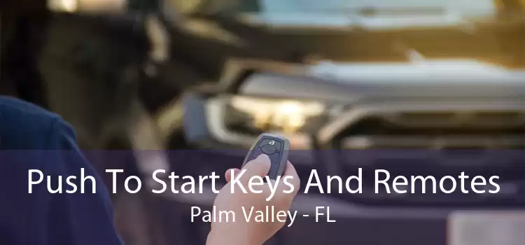 Push To Start Keys And Remotes Palm Valley - FL
