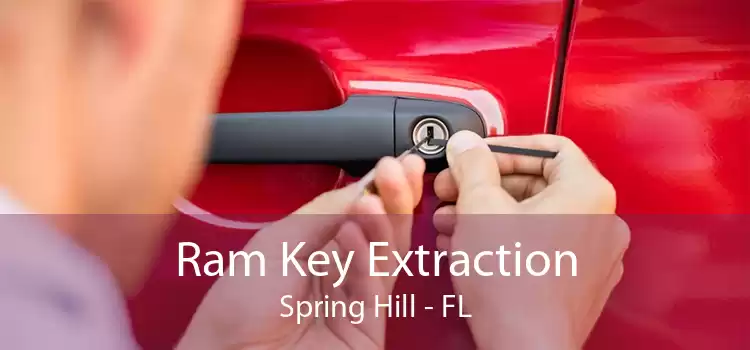 Ram Key Extraction Spring Hill - FL
