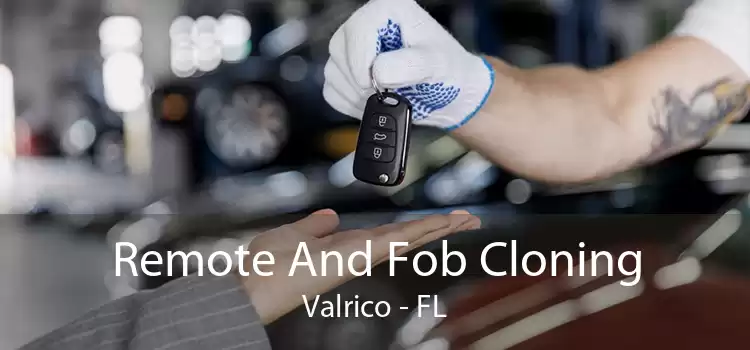 Remote And Fob Cloning Valrico - FL