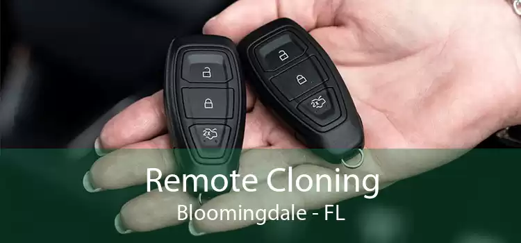 Remote Cloning Bloomingdale - FL