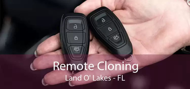 Remote Cloning Land O' Lakes - FL
