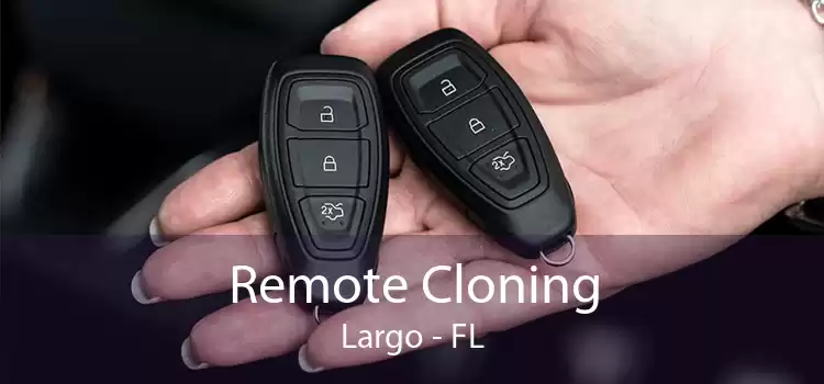 Remote Cloning Largo - FL