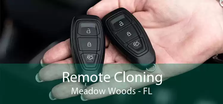 Remote Cloning Meadow Woods - FL