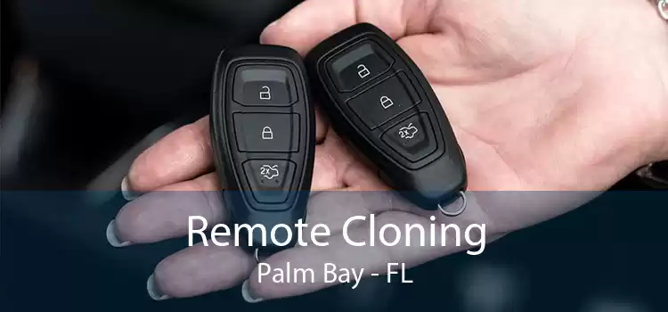 Remote Cloning Palm Bay - FL