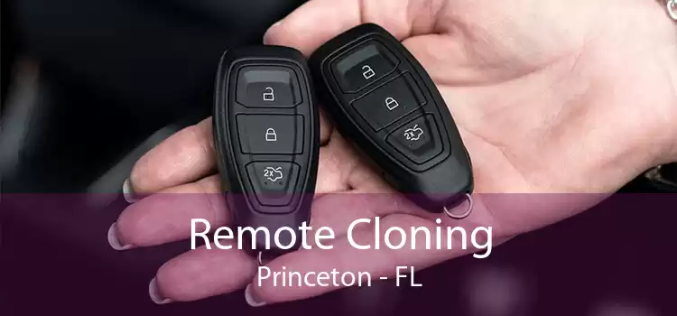 Remote Cloning Princeton - FL
