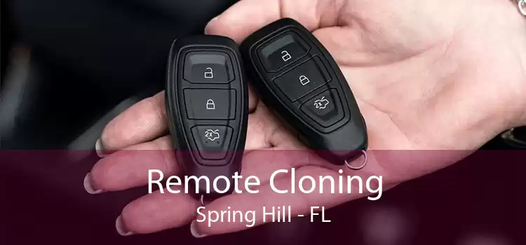 Remote Cloning Spring Hill - FL