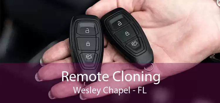 Remote Cloning Wesley Chapel - FL
