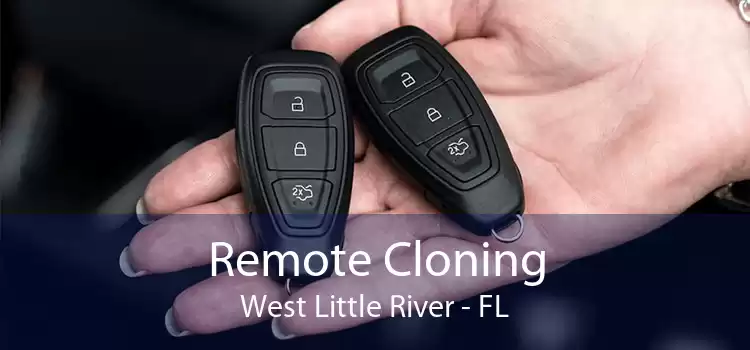 Remote Cloning West Little River - FL