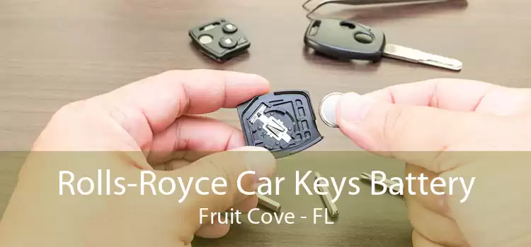 Rolls-Royce Car Keys Battery Fruit Cove - FL