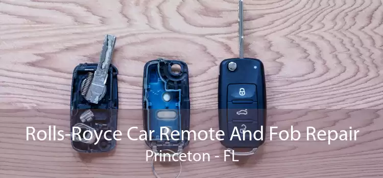 Rolls-Royce Car Remote And Fob Repair Princeton - FL
