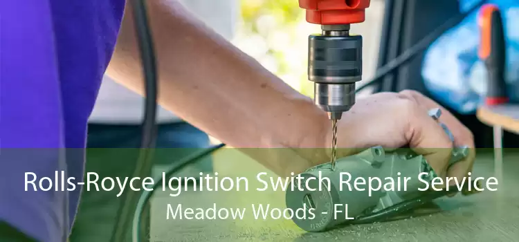 Rolls-Royce Ignition Switch Repair Service Meadow Woods - FL