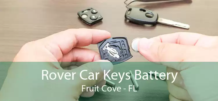 Rover Car Keys Battery Fruit Cove - FL