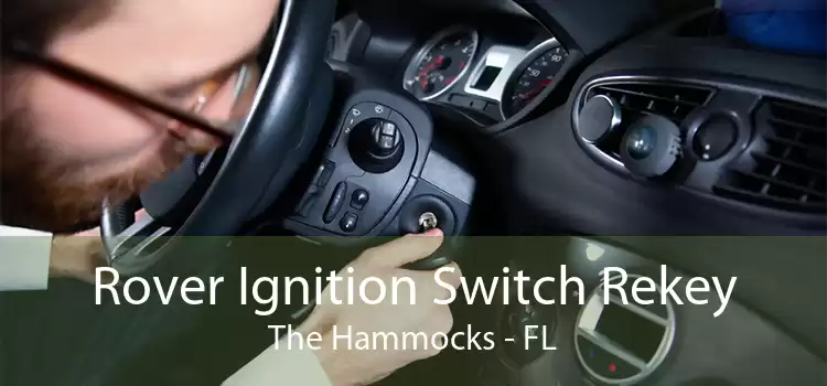 Rover Ignition Switch Rekey The Hammocks - FL