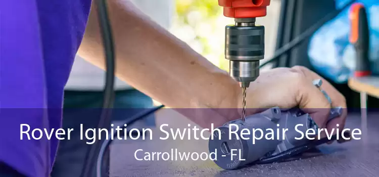Rover Ignition Switch Repair Service Carrollwood - FL
