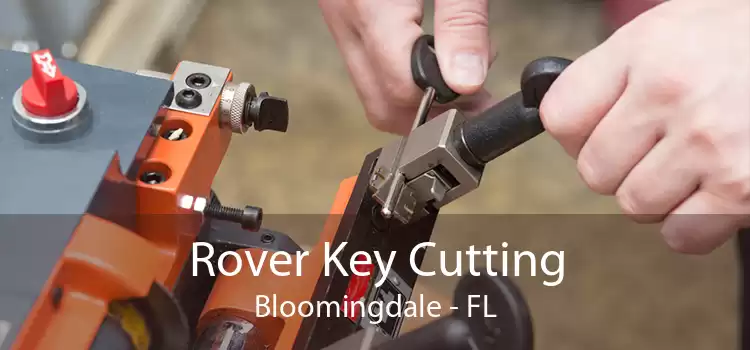 Rover Key Cutting Bloomingdale - FL
