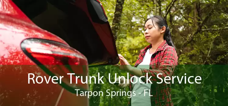 Rover Trunk Unlock Service Tarpon Springs - FL