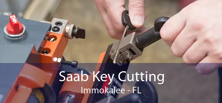Saab Key Cutting Immokalee - FL