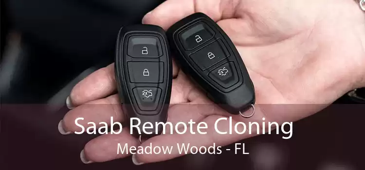 Saab Remote Cloning Meadow Woods - FL