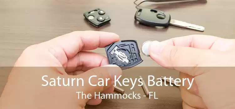 Saturn Car Keys Battery The Hammocks - FL