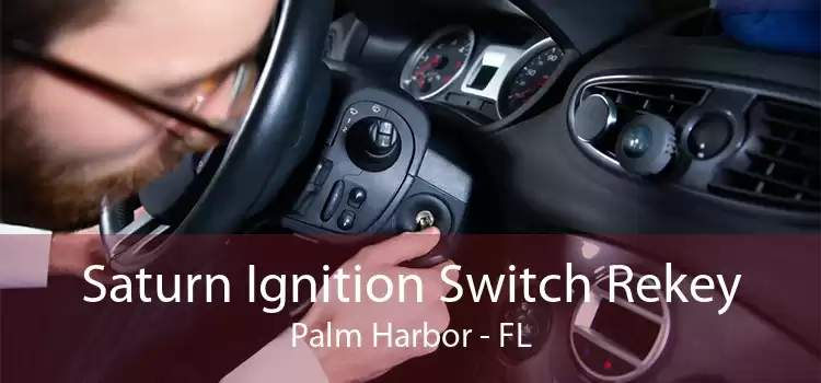 Saturn Ignition Switch Rekey Palm Harbor - FL
