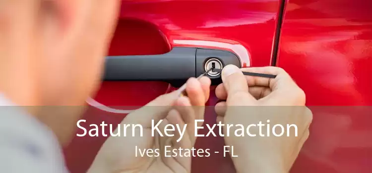 Saturn Key Extraction Ives Estates - FL