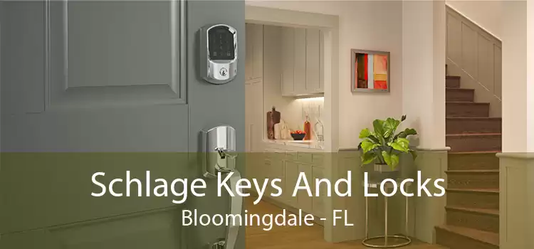 Schlage Keys And Locks Bloomingdale - FL