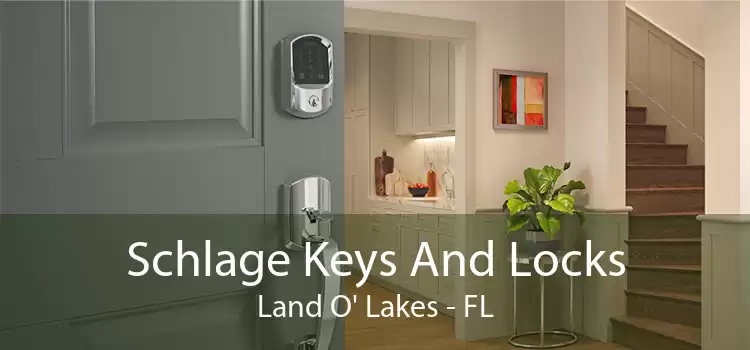 Schlage Keys And Locks Land O' Lakes - FL