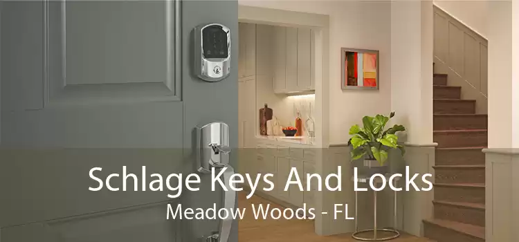 Schlage Keys And Locks Meadow Woods - FL