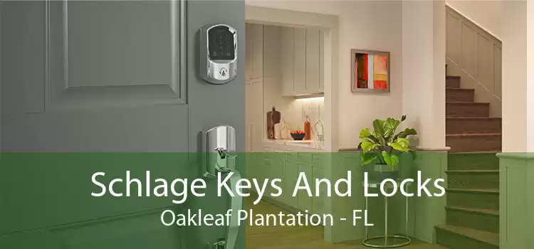 Schlage Keys And Locks Oakleaf Plantation - FL