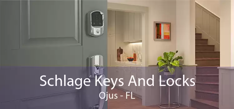 Schlage Keys And Locks Ojus - FL