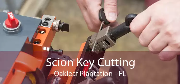 Scion Key Cutting Oakleaf Plantation - FL