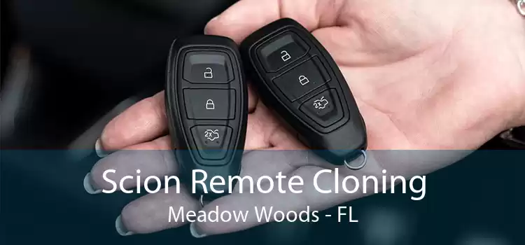 Scion Remote Cloning Meadow Woods - FL