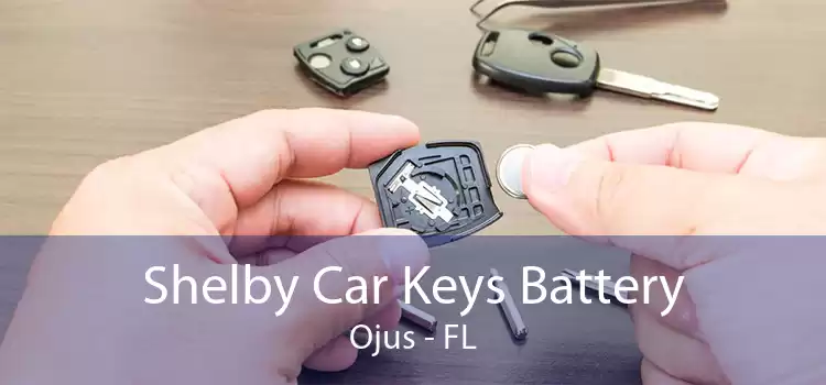 Shelby Car Keys Battery Ojus - FL