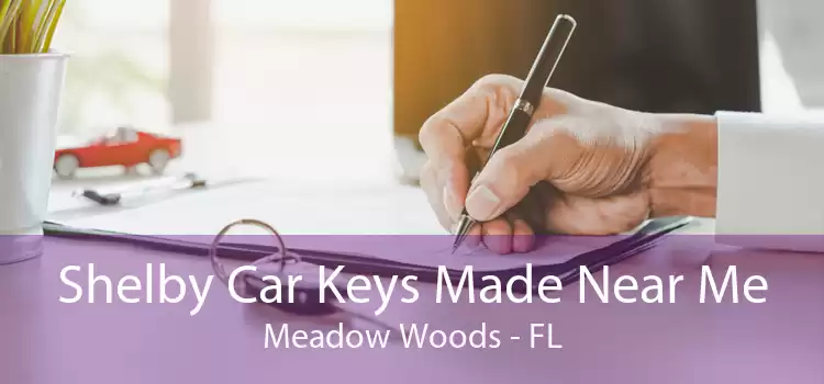Shelby Car Keys Made Near Me Meadow Woods - FL