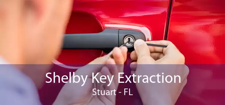 Shelby Key Extraction Stuart - FL