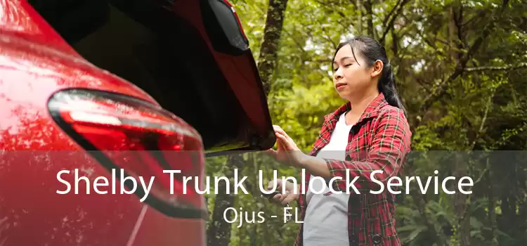 Shelby Trunk Unlock Service Ojus - FL