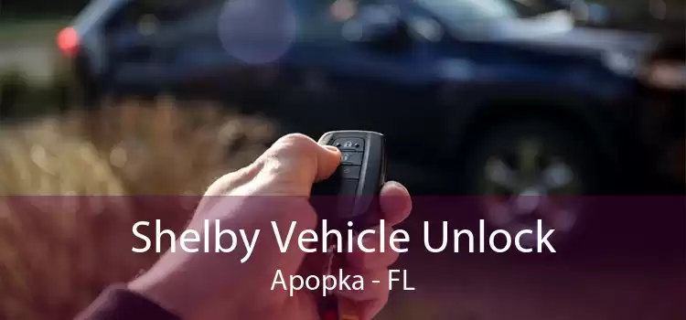 Shelby Vehicle Unlock Apopka - FL