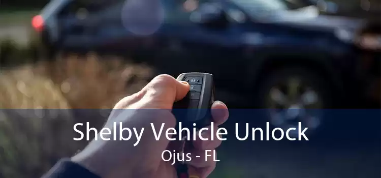 Shelby Vehicle Unlock Ojus - FL