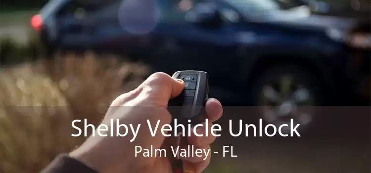 Shelby Vehicle Unlock Palm Valley - FL
