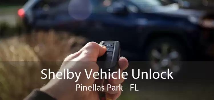 Shelby Vehicle Unlock Pinellas Park - FL