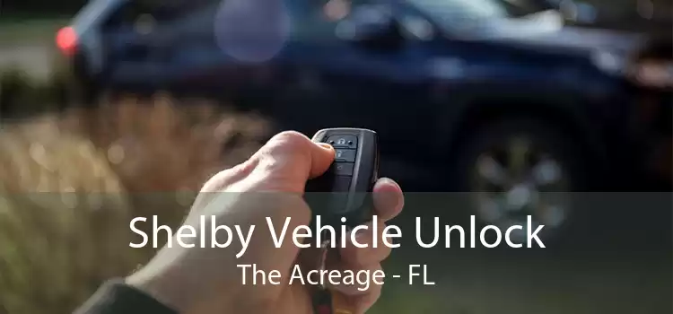 Shelby Vehicle Unlock The Acreage - FL