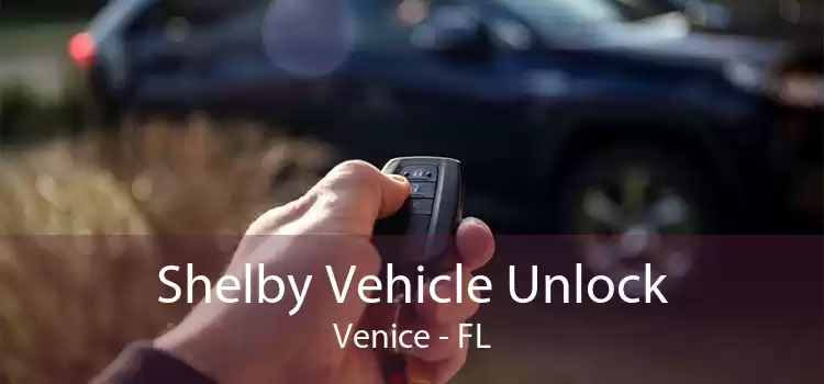Shelby Vehicle Unlock Venice - FL