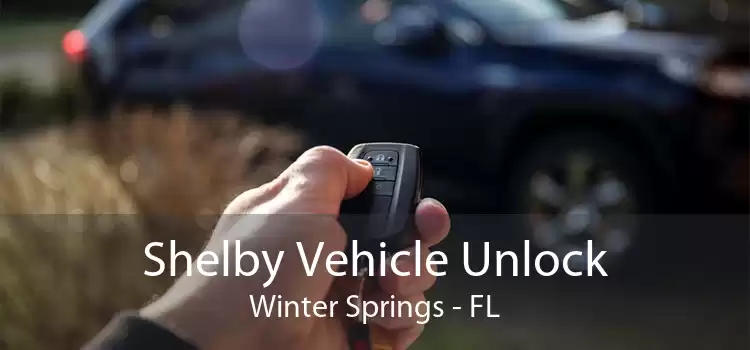 Shelby Vehicle Unlock Winter Springs - FL