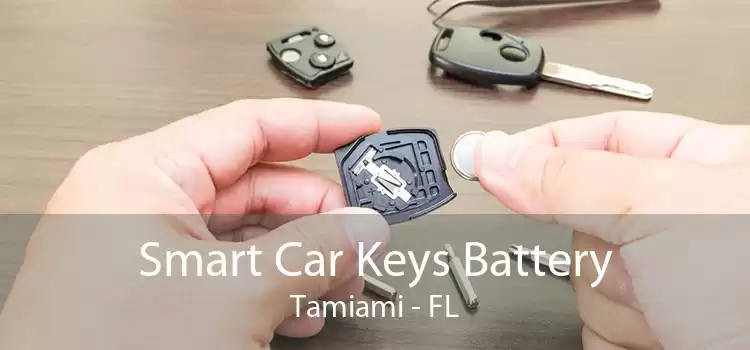 Smart Car Keys Battery Tamiami - FL