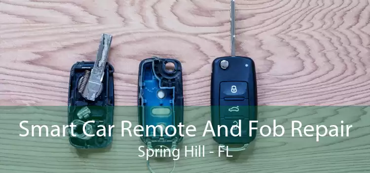Smart Car Remote And Fob Repair Spring Hill - FL