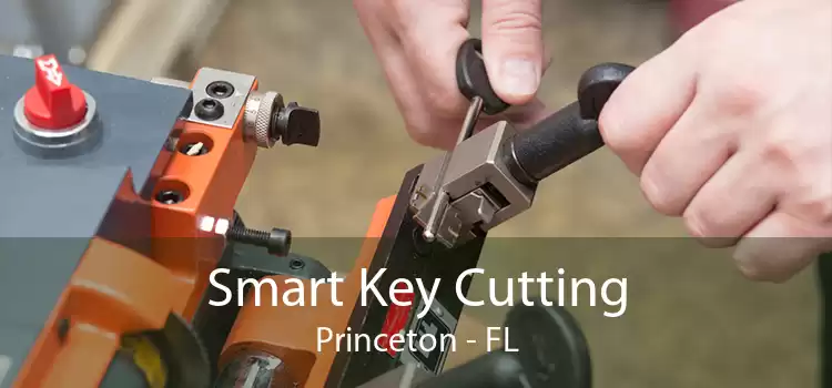 Smart Key Cutting Princeton - FL