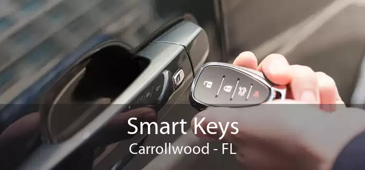 Smart Keys Carrollwood - FL