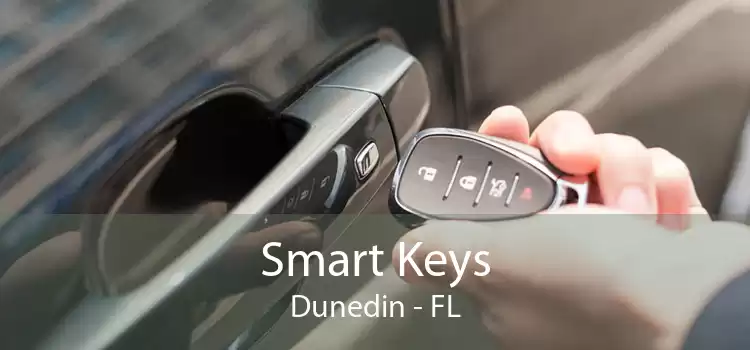 Smart Keys Dunedin - FL